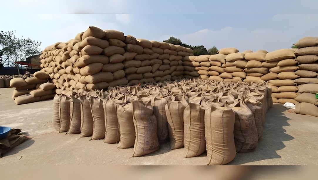 Bemetara Paddy Seized