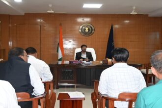 Rice Millers Verification