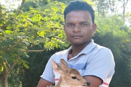 Rohansi News