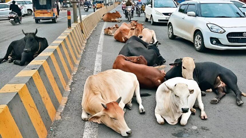 Safe Roads Mission Chhattisgarh