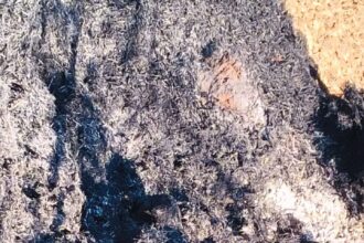 Burnt Dead Body Found