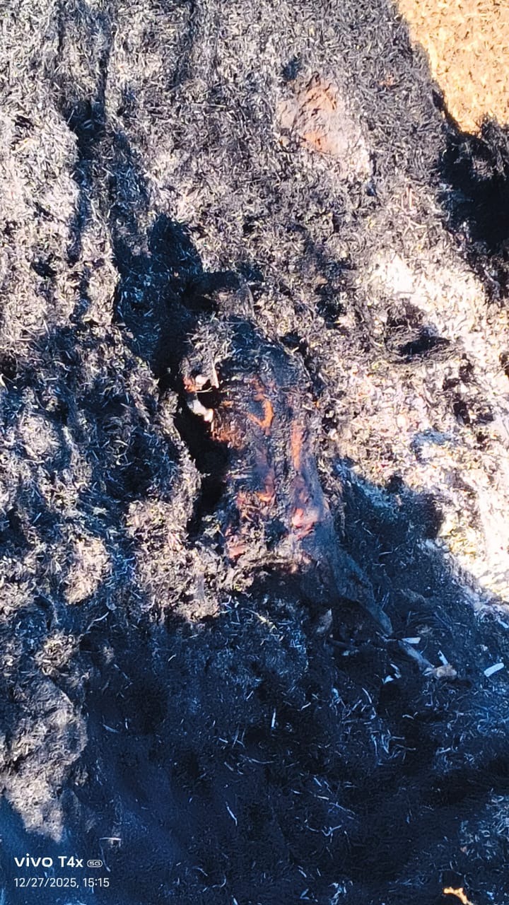 Burnt Dead Body Found