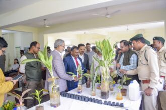 Hydroponics Nursery Development