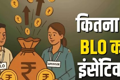 BLO Salary