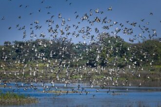 Bilaspur Kopra Reservoir