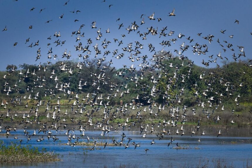Bilaspur Kopra Reservoir