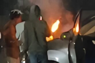 Birthday Celebration Street