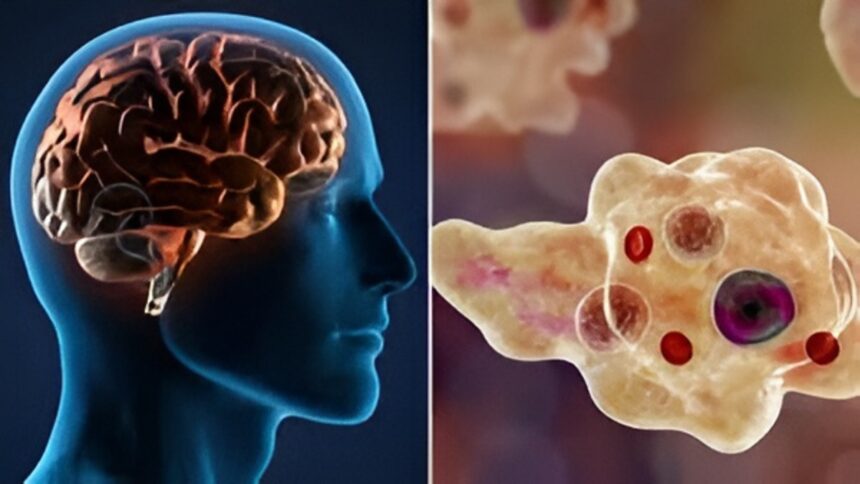 Brain Eating Amoeba Kerala