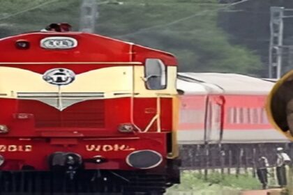 Elephants Killed Railway Track