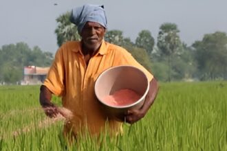 Fertilizer Import Surge India