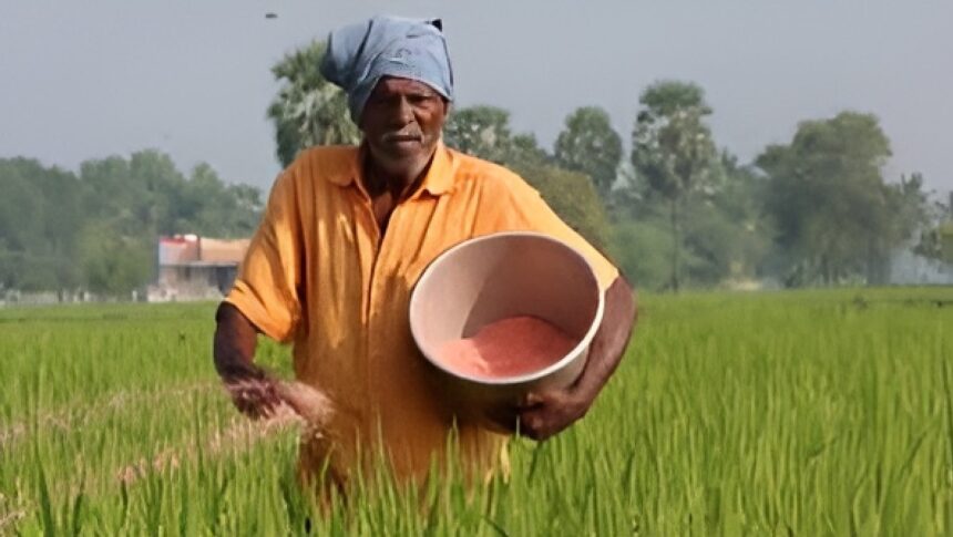 Fertilizer Import Surge India