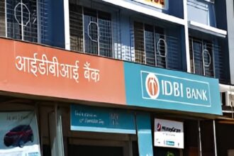 Government Bank Privatization