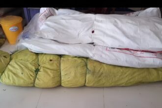 Illegal Cannabis Cultivation