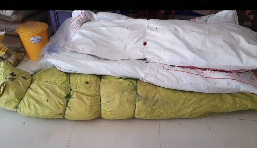 Illegal Cannabis Cultivation