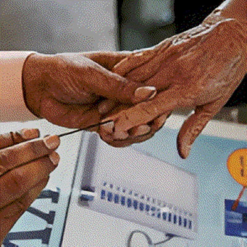 Municipal Poll Turnout