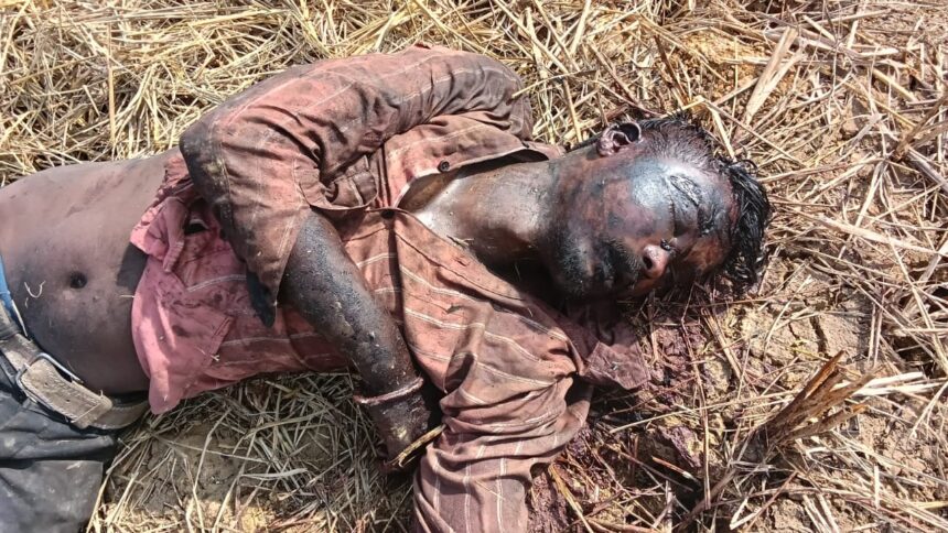 Nigerian Student Death