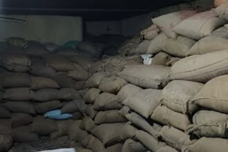 Raigarh Rice Scam Raid