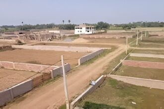 Registry Guideline New Rates