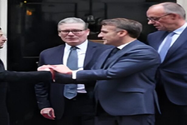 US Leaked Strategy Europ