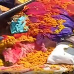 Unique Funeral With Cows