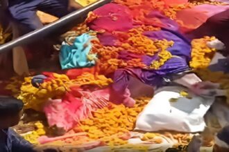 Unique Funeral With Cows