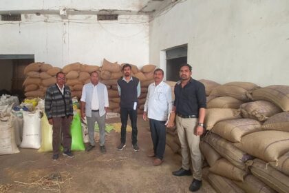 Rice Mill Action