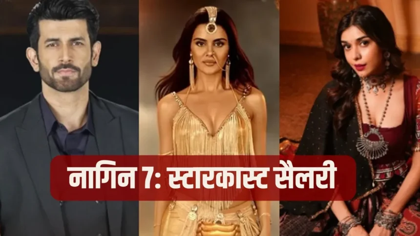 Naagin 7 Budget