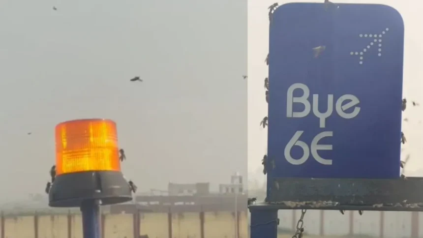 Indigo Flight Delay Kanpur