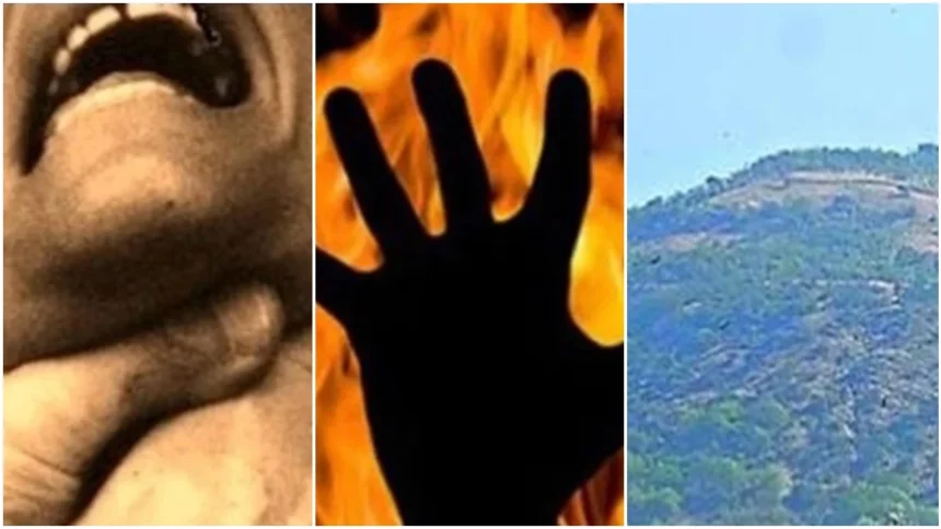 Murder Investigation, Missing Person Case