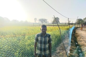 Farmer Success Story