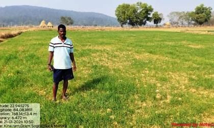 Wheat Farming Profit