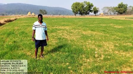 Wheat Farming Profit