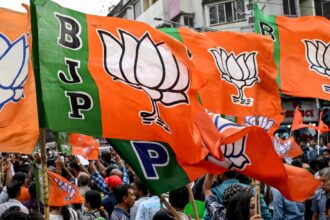 Bamhnidih Town Panchayat Election