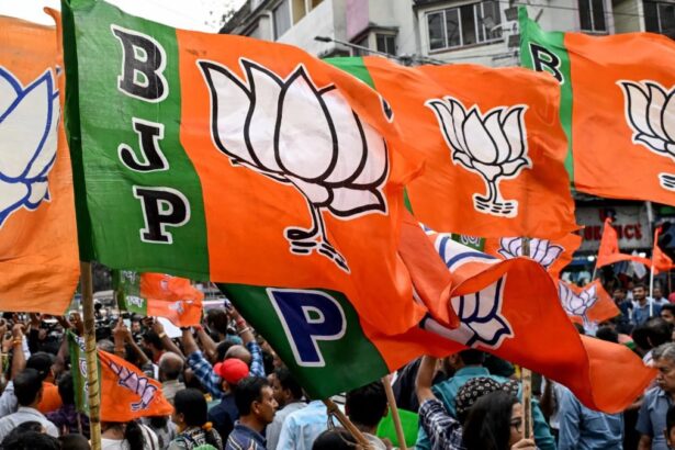 Bamhnidih Town Panchayat Election