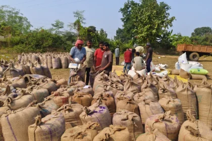 CG Dhan Kharidi