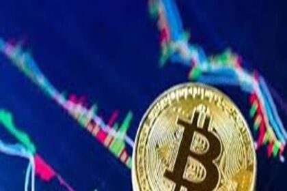 Crypto Trading Scam