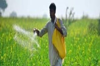 Horticulture Crop Insurance