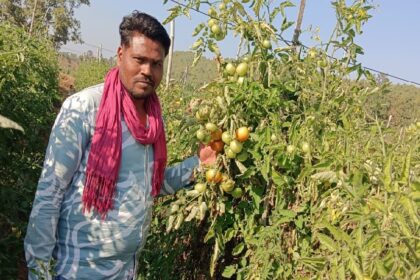 Horticulture Farming Success Story