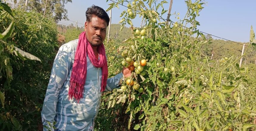 Horticulture Farming Success Story