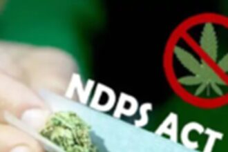 NDPS Act Raipur Verdict