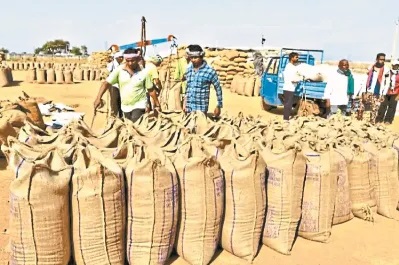Paddy Procurement Scam