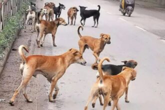 Raigarh Municipal Corporation