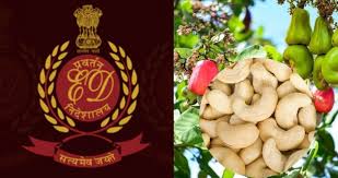 Anish Babu Money Laundering Case