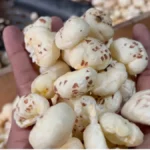 Makhana Health Benefits