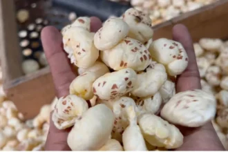 Makhana Health Benefits