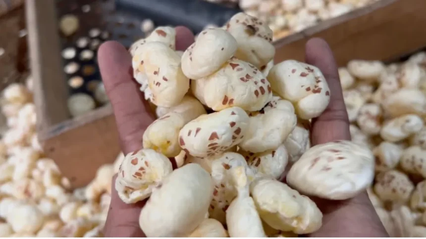 Makhana Health Benefits