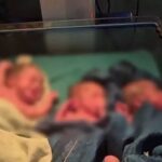 Triple Baby Birth