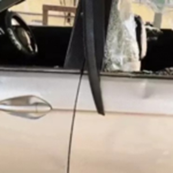 Danteweshwari Maize Factory Protest