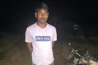 Marijuana Transport Arrested