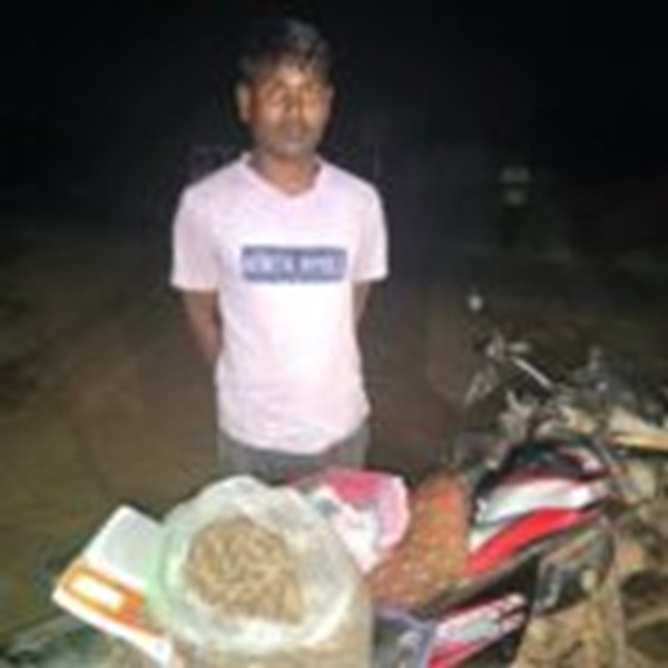 Marijuana Transport Arrested